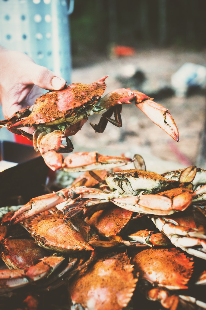 Steam Blue Crabs {Girl Carnivore}