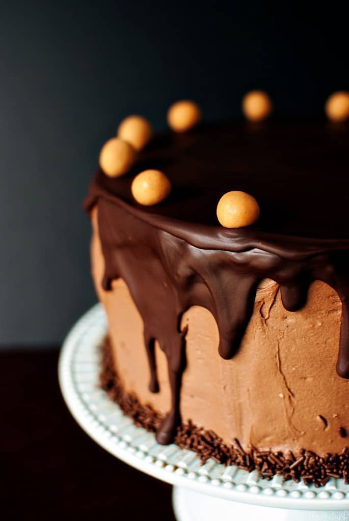 Chocolate Peanut Butter Cake {Pass the Sushi}