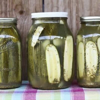 Homemade Claussen Knock-off Pickles are dead crunchy, garlicky, salty, and the perfect accompaniment to any sandwich on earth. Plus they're easy enough for beginner food preservationists!