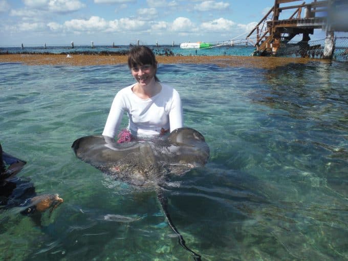 Everybody Loves Rays excursion in Cozumel, Mexico