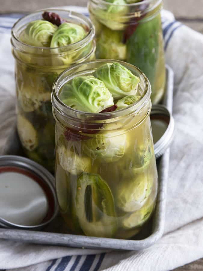 Pickled Brussels Sprouts are garlicky, tangy, crisp-tender, pickled orbs that are delicious as a snack or on a charcuterie board.