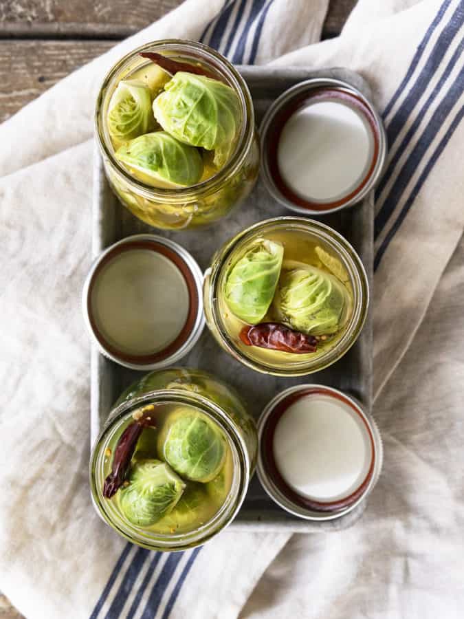 Pickled Brussels Sprouts are garlicky, tangy, crisp-tender, pickled orbs that are delicious as a snack or on a charcuterie board.