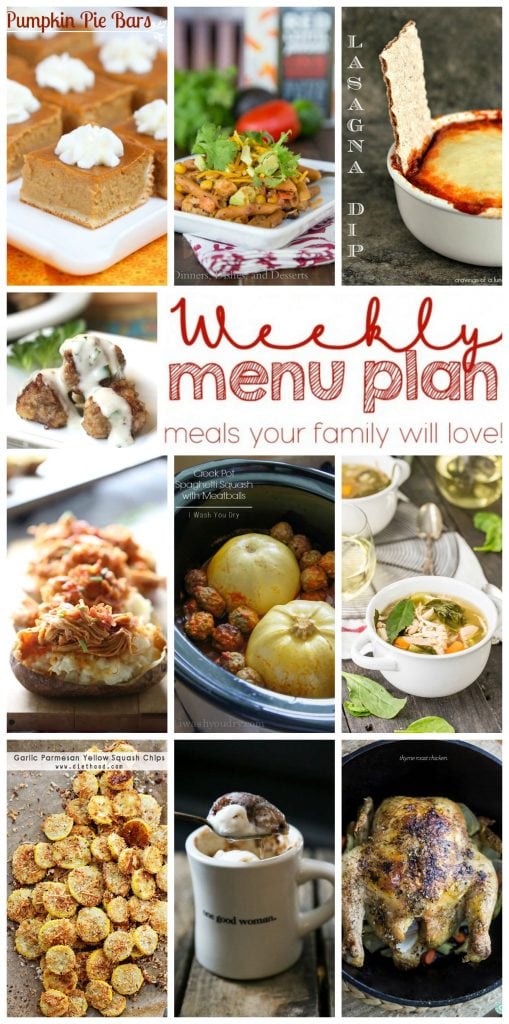 Weekly Meal Plan Week 9 - 10 top bloggers bringing you 6 dinner recipes, 2 side dishes and 2 desserts to make a quick, easy, and delicious week!