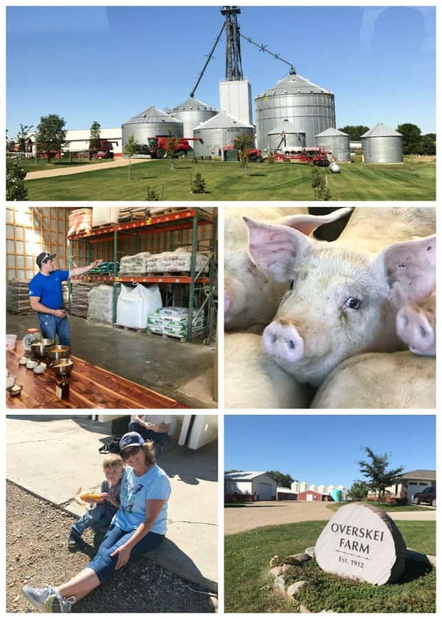 Overskei Farm, South Dakota. Pipestone Veterinary System.