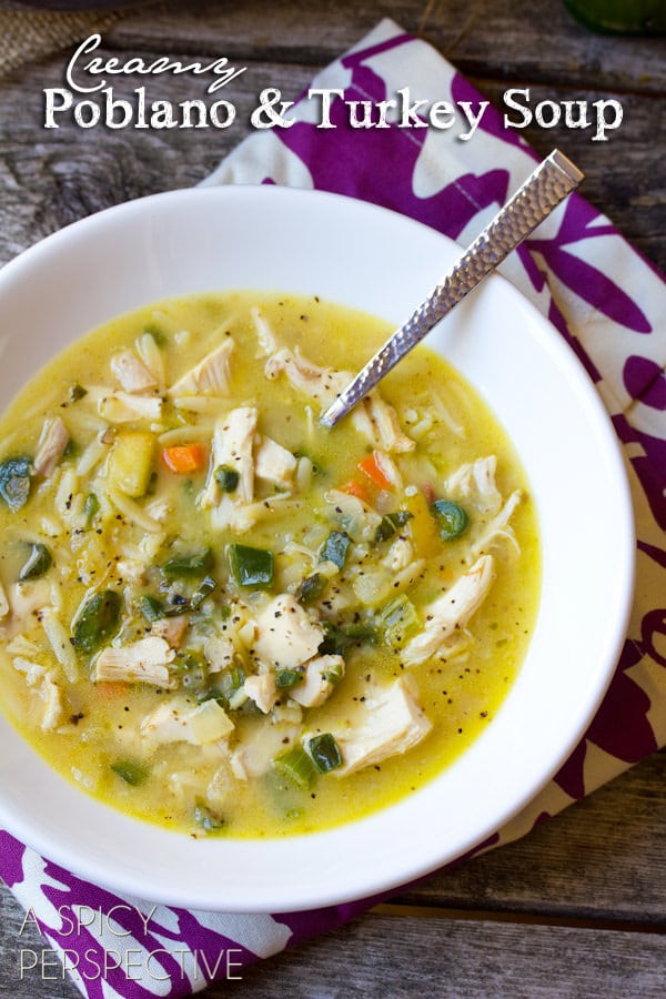 Creamy Poblano and Turkey Soup {A Spicy Perspective}